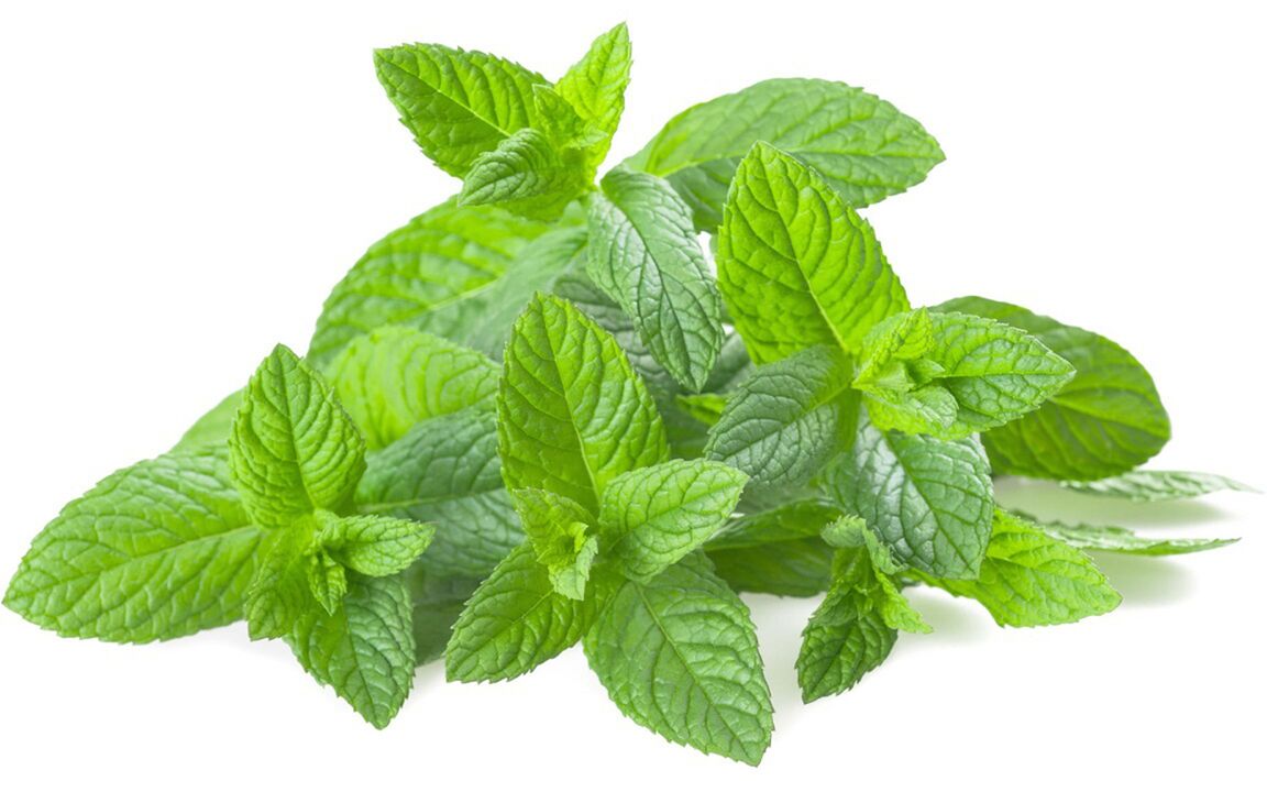 Olio di contea in Hondrolife